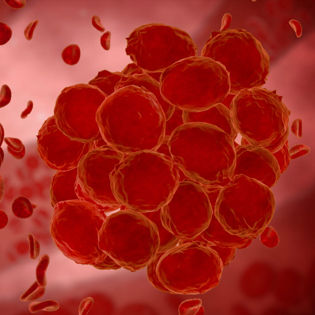 Researchers identify how cells move faster through mucus than blood IBMNC